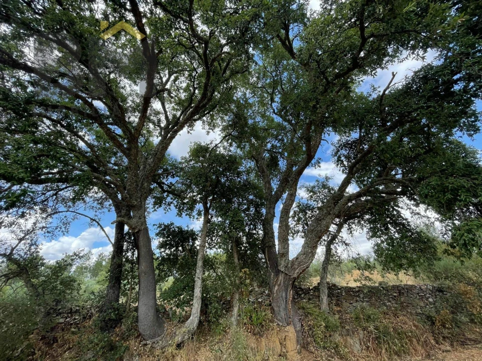 Quinta T0 para Venda em Freixial e Juncal do Campo Foto 25