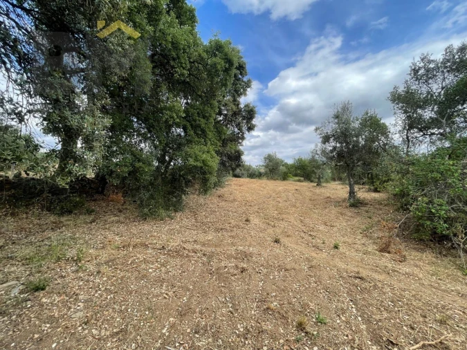 Quinta T0 para Venda em Freixial e Juncal do Campo Foto 27