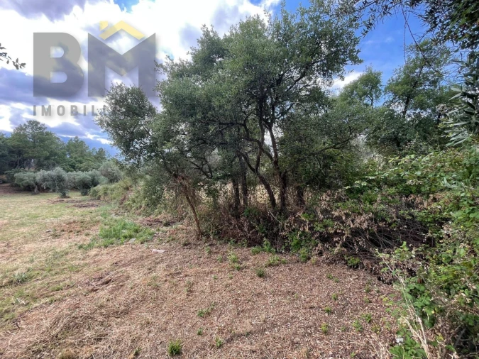 Quinta T0 para Venda em Freixial e Juncal do Campo Foto 23