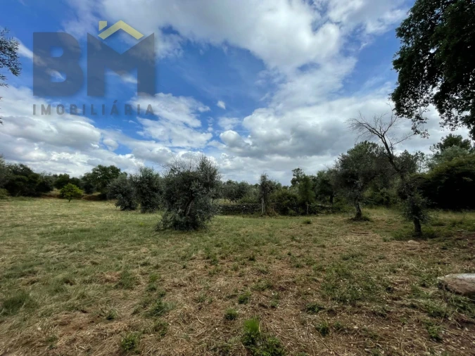 Quinta T0 para Venda em Freixial e Juncal do Campo Foto 34