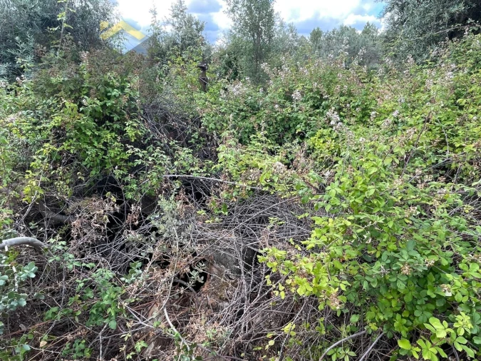 Quinta T0 para Venda em Freixial e Juncal do Campo Foto 20