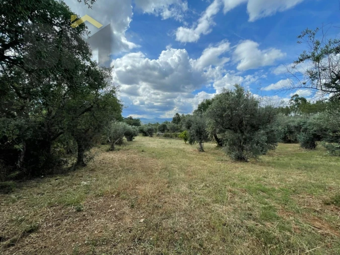 Quinta T0 para Venda em Freixial e Juncal do Campo Foto 15