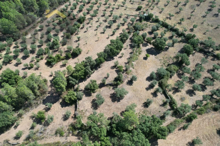 Quinta T0 para Venda em Freixial e Juncal do Campo Foto 2