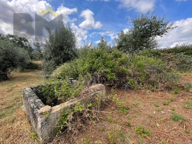 Quinta T0 para Venda em Freixial e Juncal do Campo Foto 19