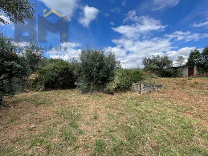 Quinta T0 para Venda em Freixial e Juncal do Campo Foto 21