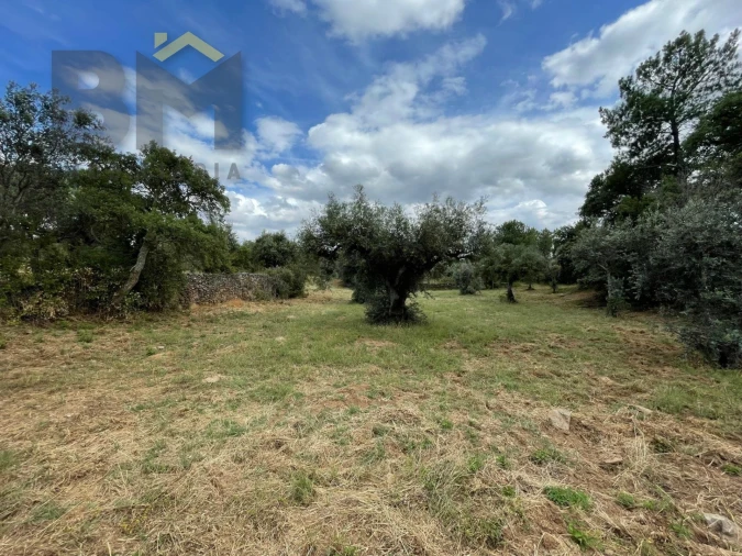 Quinta T0 para Venda em Freixial e Juncal do Campo Foto 31