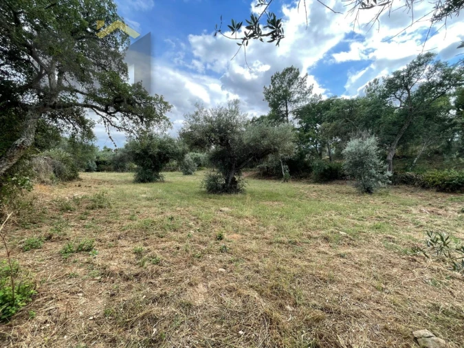 Quinta T0 para Venda em Freixial e Juncal do Campo Foto 29