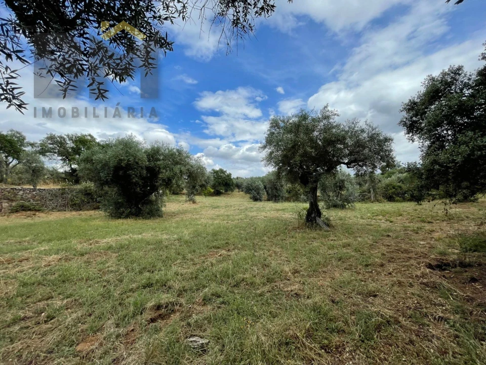 Quinta T0 para Venda em Freixial e Juncal do Campo Foto 32