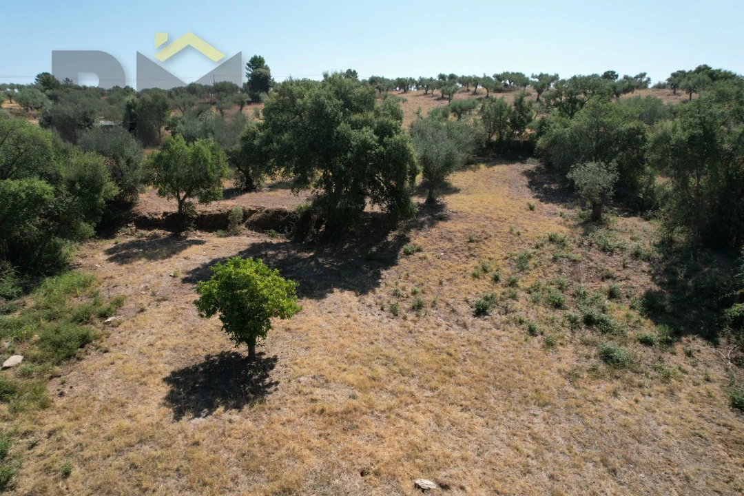 Quinta T0 para Venda em Freixial e Juncal do Campo Foto 12