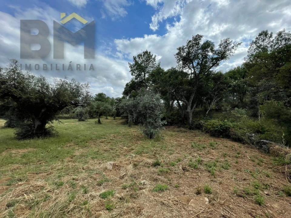 Quinta T0 para Venda em Freixial e Juncal do Campo Foto 30