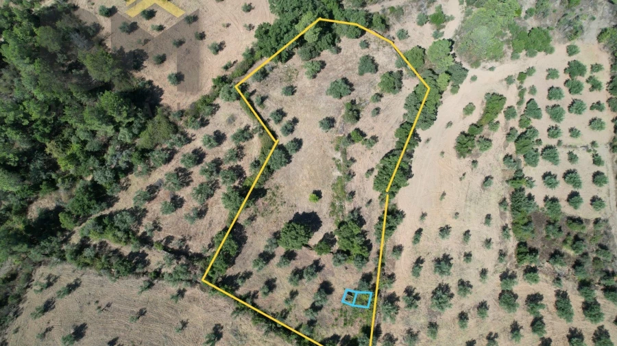 Quinta T0 para Venda em Freixial e Juncal do Campo