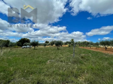 Terreno Agricola ou Rústico para Venda em Ninho do Açor e Sobral do Campo