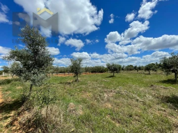 Terreno Agricola ou Rústico para Venda em Ninho do Açor e Sobral do Campo