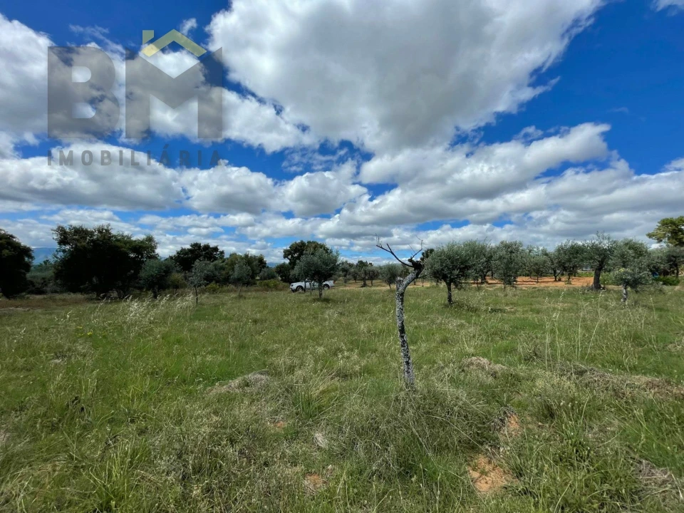 Terreno Agricola ou Rústico para Venda em Ninho do Açor e Sobral do Campo Foto 6