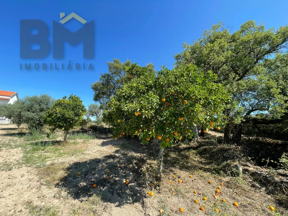 Quinta T0 para Venda em Freixial e Juncal do Campo Foto 6