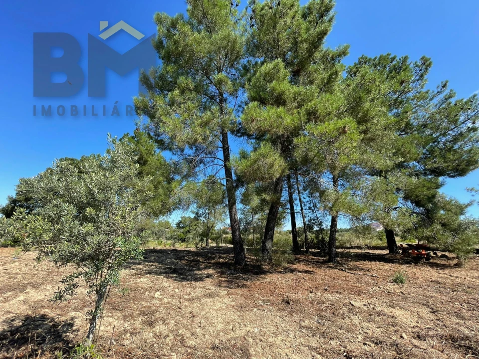 Quinta T0 para Venda em Freixial e Juncal do Campo Foto 10