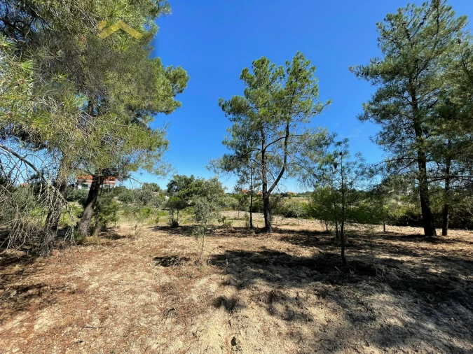 Quinta T0 para Venda em Freixial e Juncal do Campo Foto 9