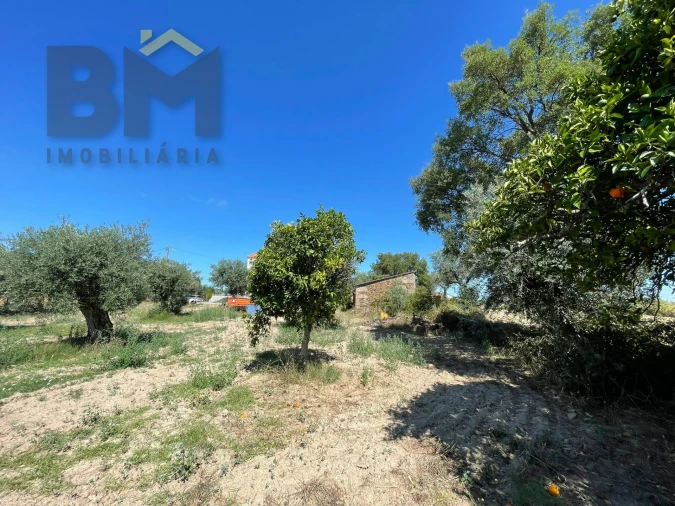 Quinta T0 para Venda em Freixial e Juncal do Campo Foto 15