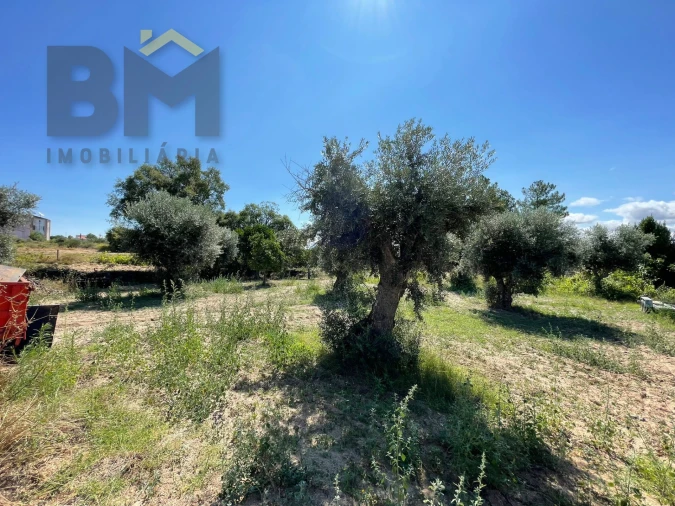 Quinta T0 para Venda em Freixial e Juncal do Campo Foto 4