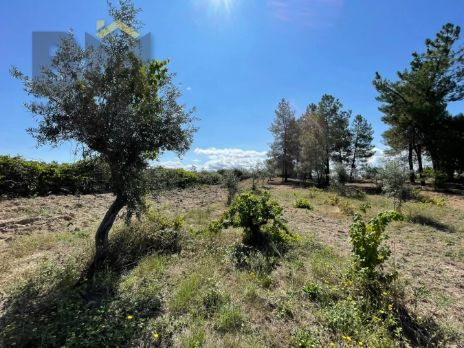 Quinta T0 para Venda em Freixial e Juncal do Campo Foto 16