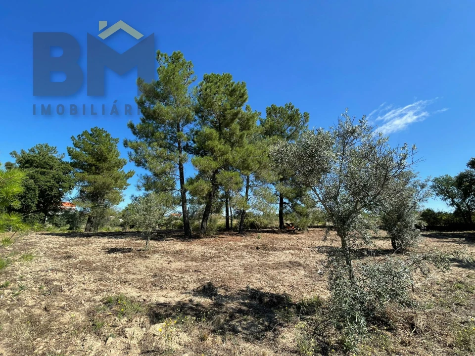 Quinta T0 para Venda em Freixial e Juncal do Campo Foto 12