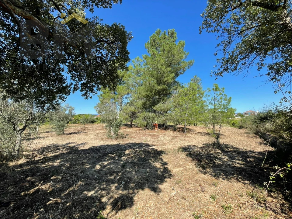 Quinta T0 para Venda em Freixial e Juncal do Campo Foto 13