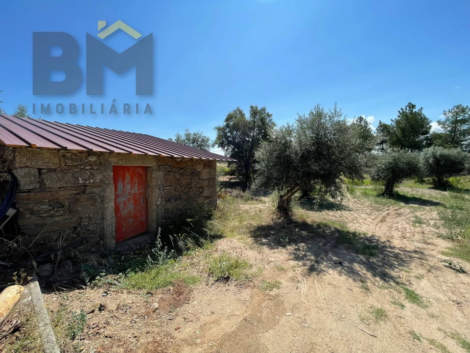 Quinta T0 para Venda em Freixial e Juncal do Campo Foto 1