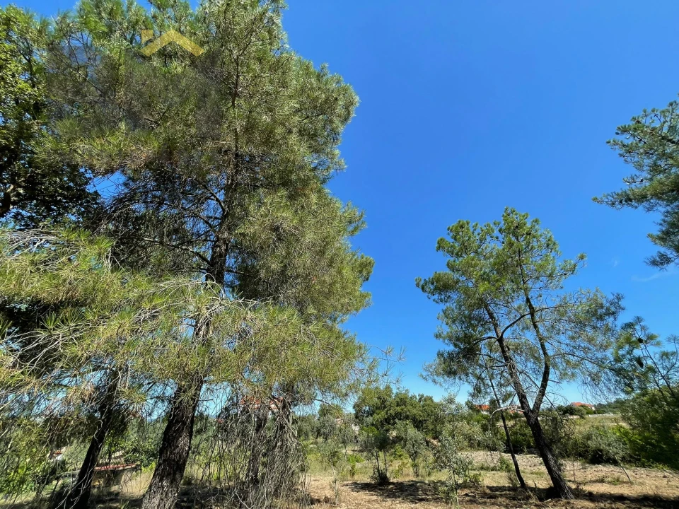 Quinta T0 para Venda em Freixial e Juncal do Campo Foto 8