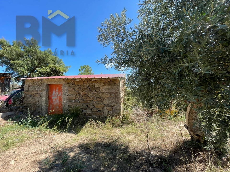 Quinta T0 para Venda em Freixial e Juncal do Campo Foto 2