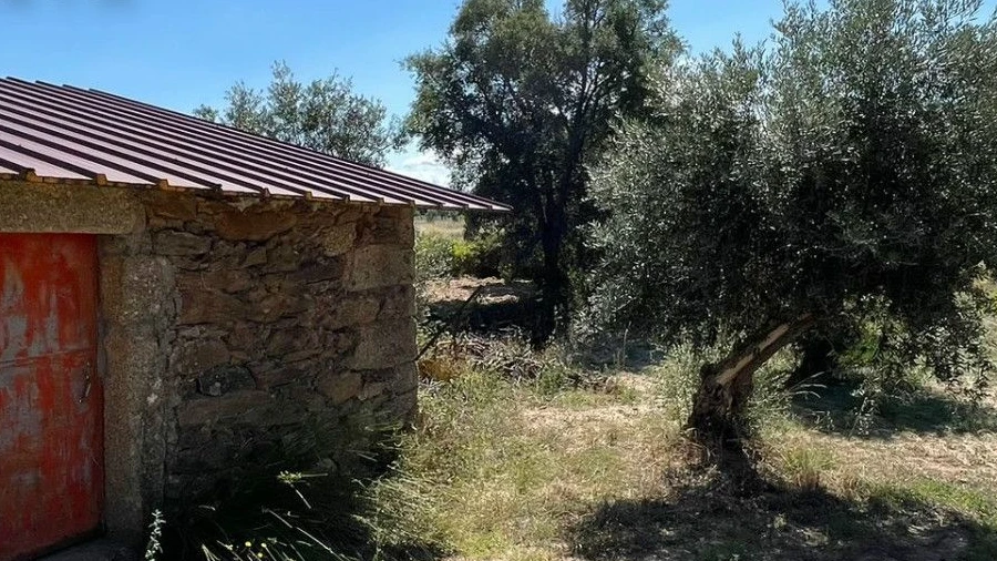 Quinta T0 para Venda em Freixial e Juncal do Campo