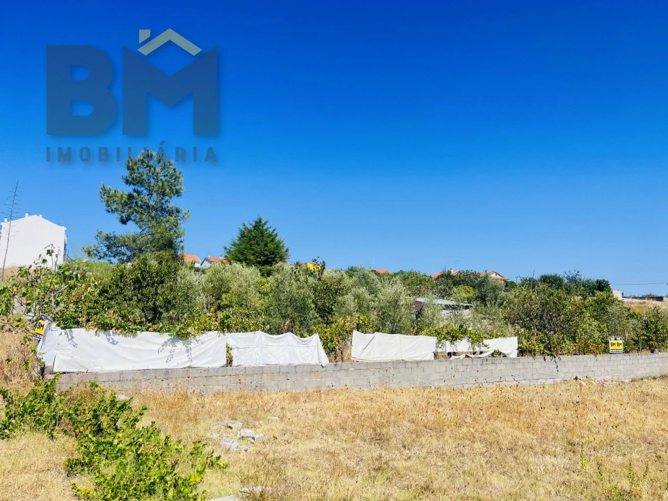 Terreno para Venda em Castelo Branco Foto 17