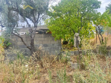 Terreno para Venda em Castelo Branco