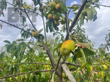 Terreno para Venda em Castelo Branco