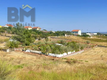 Terreno para Venda em Castelo Branco