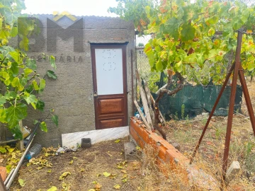 Terreno para Venda em Castelo Branco