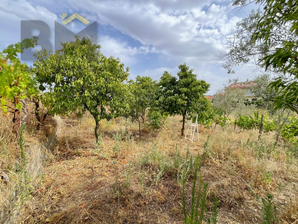 Terreno para Venda em Castelo Branco Foto 13