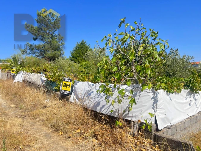 Terreno para Venda em Castelo Branco Foto 4