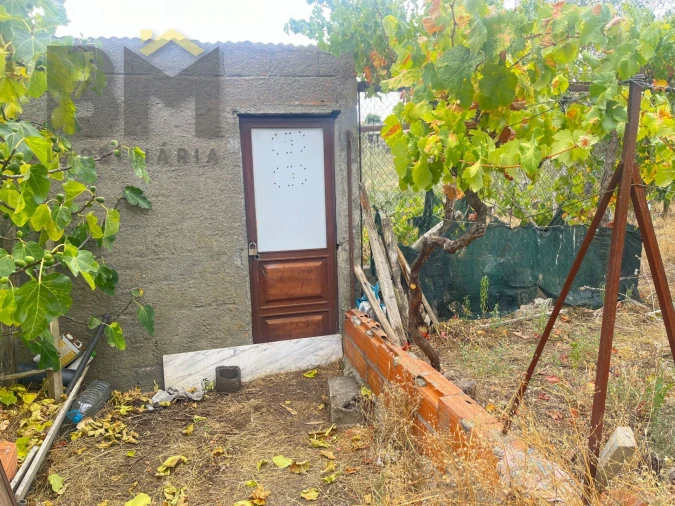 Terreno para Venda em Castelo Branco Foto 6