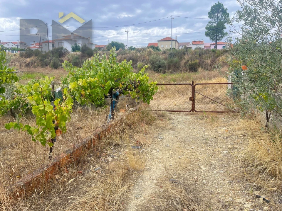 Terreno para Venda em Castelo Branco Foto 15