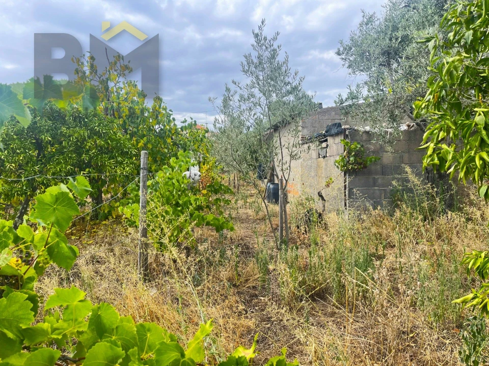 Terreno para Venda em Castelo Branco Foto 8