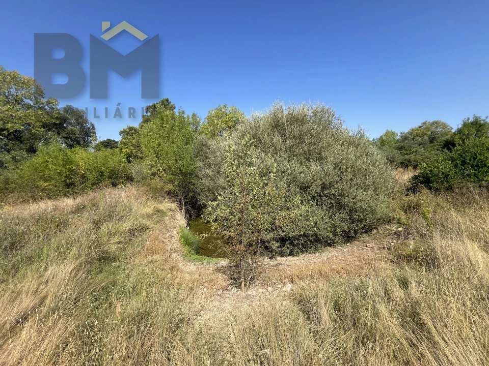 Terreno Agricola ou Rústico para Venda em Toulões Foto 8