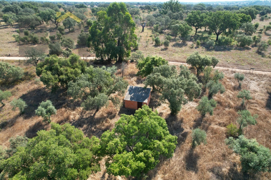 Terreno Agricola ou Rústico para Venda em Toulões Foto 14