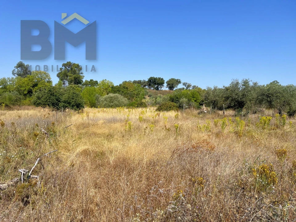 Terreno Agricola ou Rústico para Venda em Toulões Foto 7