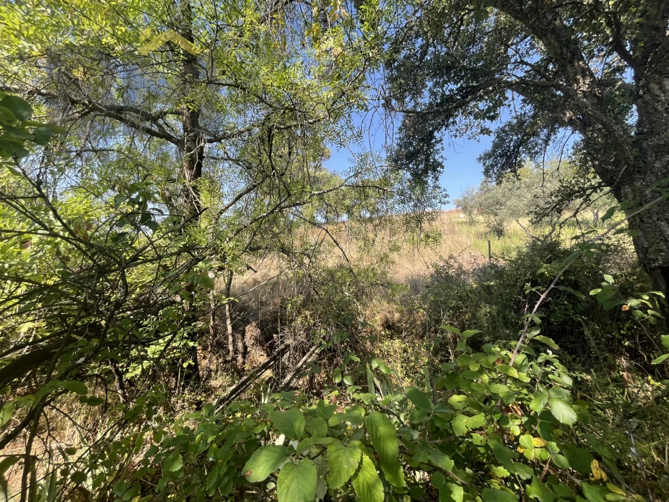 Terreno Agricola ou Rústico para Venda em Toulões Foto 12