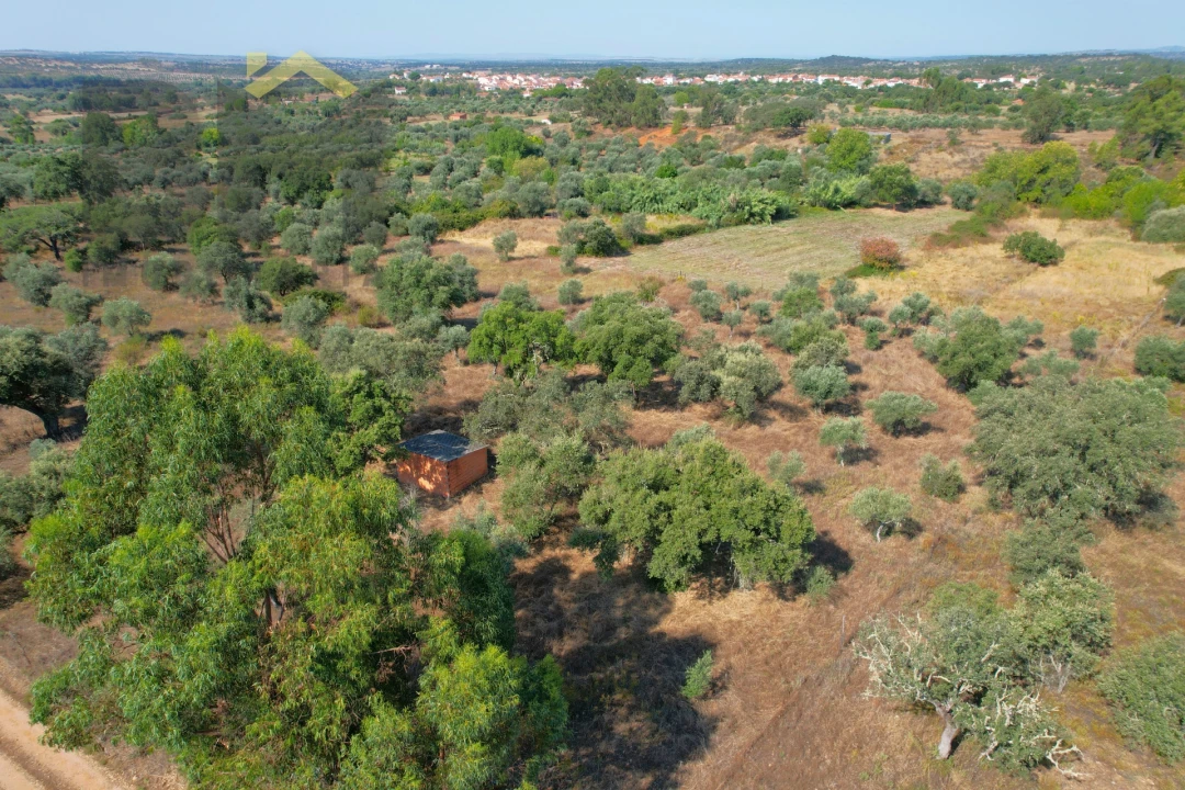 Terreno Agricola ou Rústico para Venda em Toulões Foto 2
