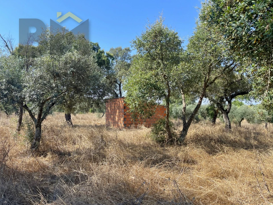 Terreno Agricola ou Rústico para Venda em Toulões Foto 4