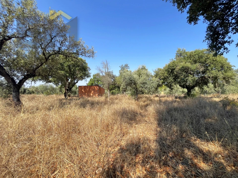 Terreno Agricola ou Rústico para Venda em Toulões Foto 15