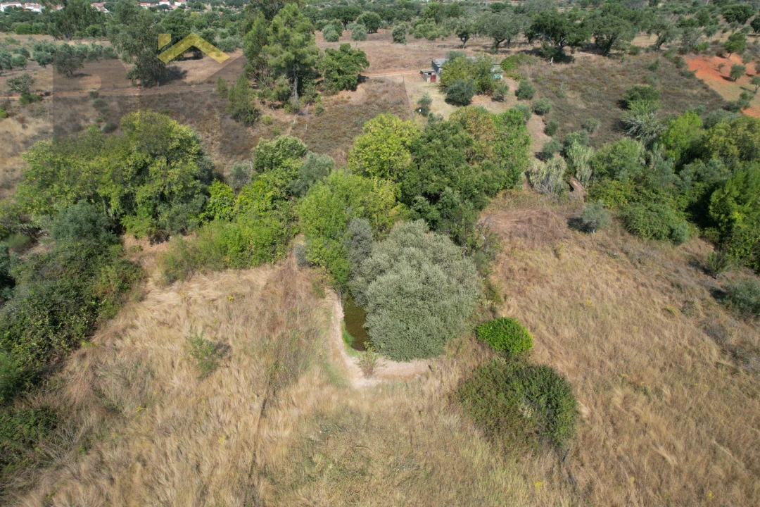 Terreno Agricola ou Rústico para Venda em Toulões Foto 9