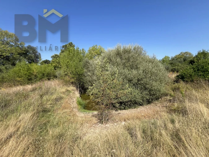 Terreno Agricola ou Rústico para Venda em Toulões Foto 8