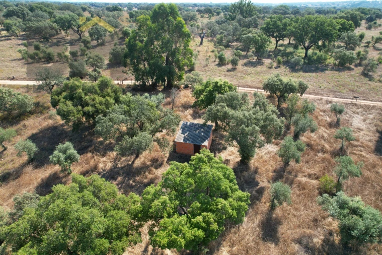 Terreno Agricola ou Rústico para Venda em Toulões Foto 14